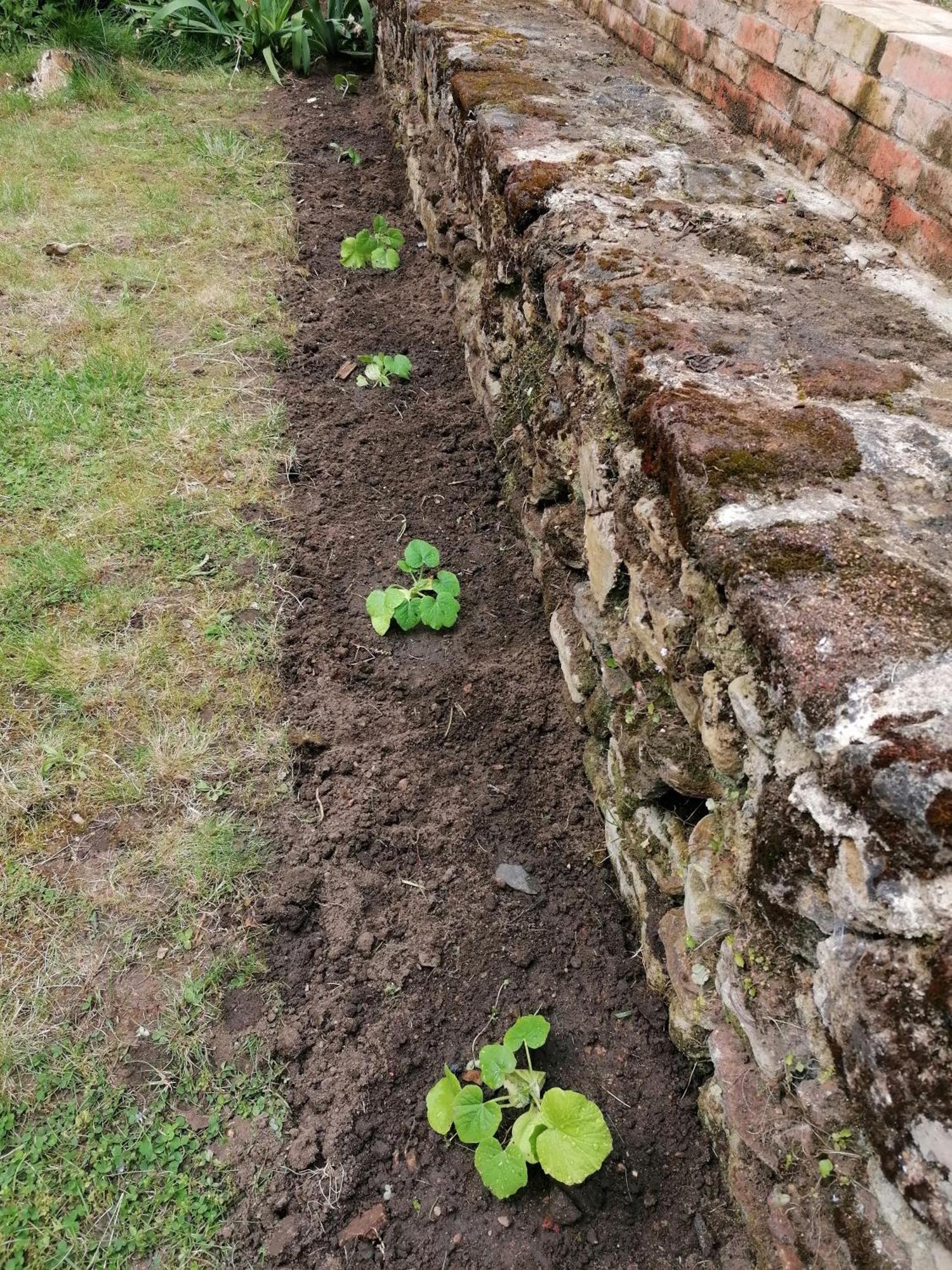Les jardins de Beauverger Le Mans Extérieur photo